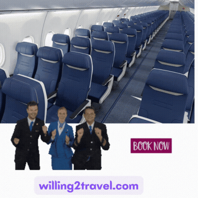 Willing2Travel.com Advertisement With Plane GIF