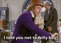 Willy Wonka I Told You Not To Silly Boy GIF
