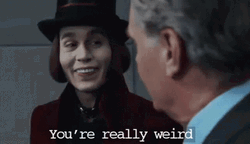 Willy Wonka You're Really Weirdo GIF
