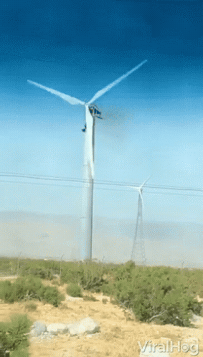 Wind Turbine With Viral Hog GIF