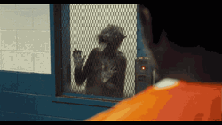 Window Licker Saucelessss Soheb GIF