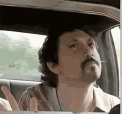 Window Licker Snozberries Guy GIF
