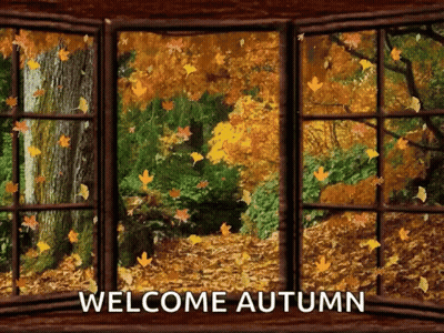 Window With Autumn Leaves Falling Out GIF