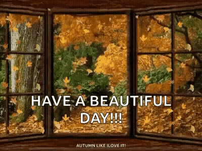 Window With Autumn Leaves Falling Out GIF