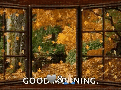 Window With Autumn Leaves Saying Good Morning GIF