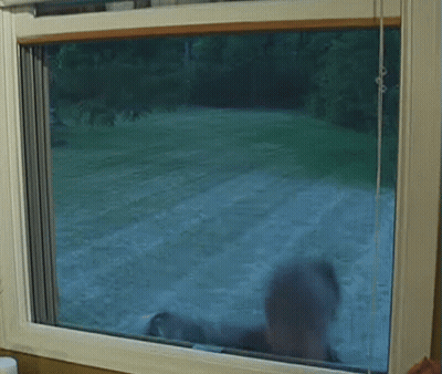 Window With Person Reflection GIF
