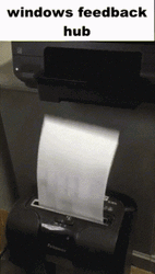 Windows Feed Back Hub GIF