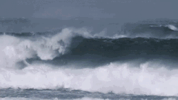 Windsurfing Giant Wave