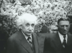 Windy Outside Albert Einstein GIF