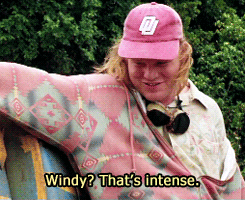 Windy That's Intense GIF