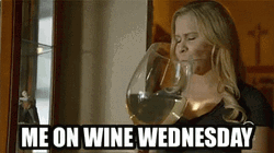 Wine Wednesday Amy Schumer