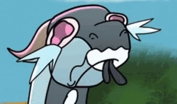 Wings Of Fire Anemone GIF