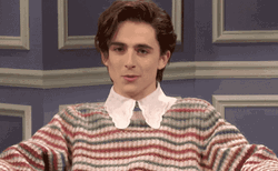 Winking Timothée Chalamet Wink GIF