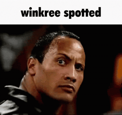 Winkree Spotted Above Man's Face GIF