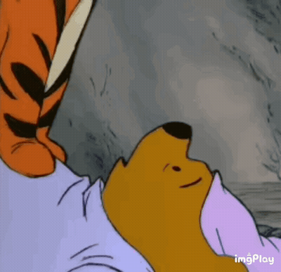 Winnie The Pooh And Tigger Sleeping Together GIF