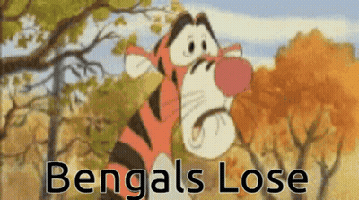 Winnie The Pooh Bengals Lose GIF