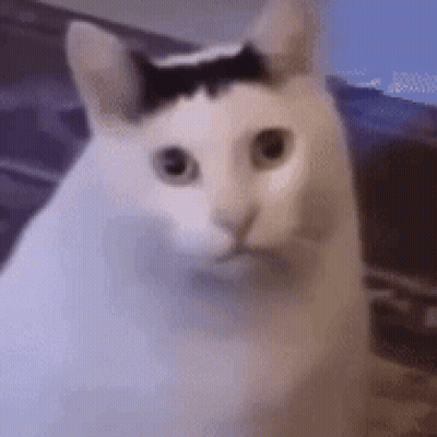 Winnie The Pooh Dancing Get Your Pooh On GIF