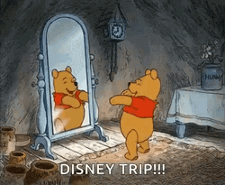 Winnie The Pooh Disney Trip