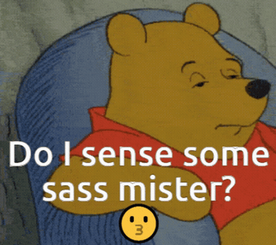 Winnie The Pooh Do I Sense Some Sass Mister GIF