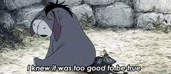 Winnie The Pooh Good To Be True GIF