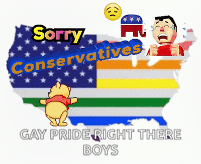 Winnie The Pooh In Front Of American Flag Saying Sorry Conservatives GIF