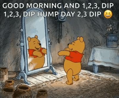 Winnie The Pooh Looking In Mirror GIF