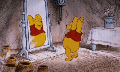 Winnie The Pooh Looking In Mirror GIF