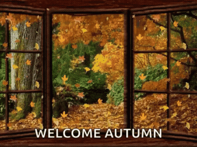 Winnie The Pooh Says First Day Of Autumn GIF