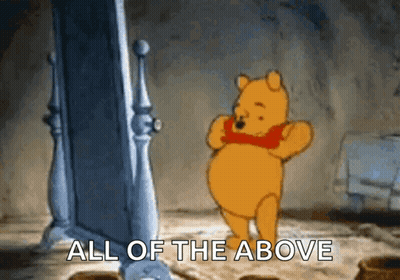 Winnie The Pooh Standing In Front Of Mirror Saying All Of The Above GIF