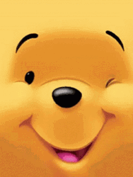 Winnie The Pooh Winky Face