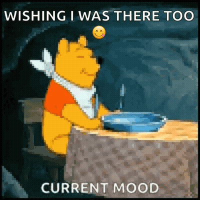 Winnie The Pooh Wishing I Was There Too GIF