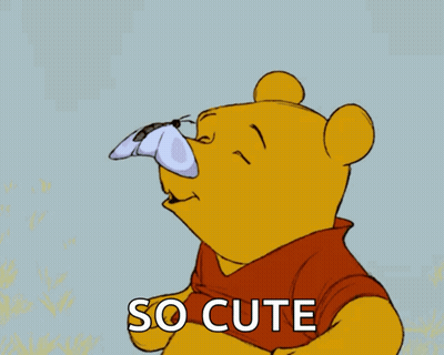 Winnie The Pooh With A Butterfly On His Nose And The Words So Cute GIF