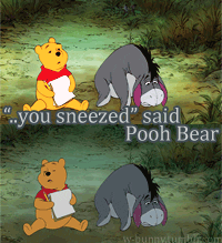 Winnie To Eeyore You Sneezed GIF