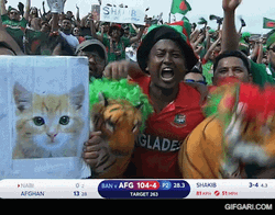 Winning Recation Crickets Meme Game Fans GIF
