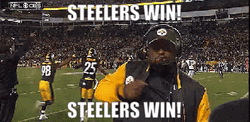 Winning Team Steelers Chest Pump Meme GIF