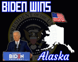 Wins Biden Ice Cream For President GIF
