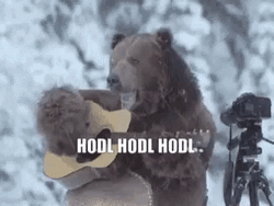 Winter Bear Hodl GIF