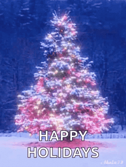 Winter Break Christmas Tree Lighting Up Spinning GIF
