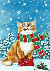 Winter Christmas Cat Smiling