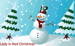 Winter Christmas Snowman Swaying