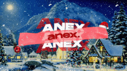 Winter Christmas With Flashing Anex Logo
