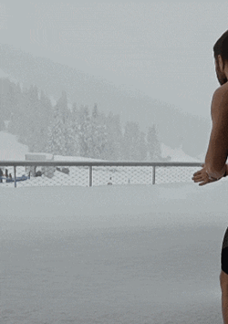 Winter Snow GIF