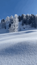 Winter Solstice Adventure Time Snow GIF