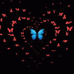 Winter Solstice Beautiful Butterfly GIF