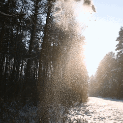Winter Solstice Christmas December GIF