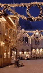 Winter Solstice Christmas Lights GIF