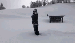 Winter Sport Falling Faceplant GIF
