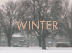Winter Text Snowfall