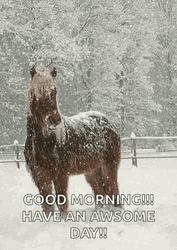Winter Wednesday Hike Bliss GIF