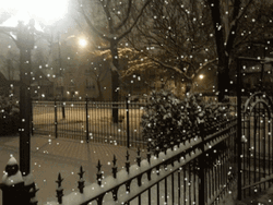Winter Wednesday Snowy Street View GIF